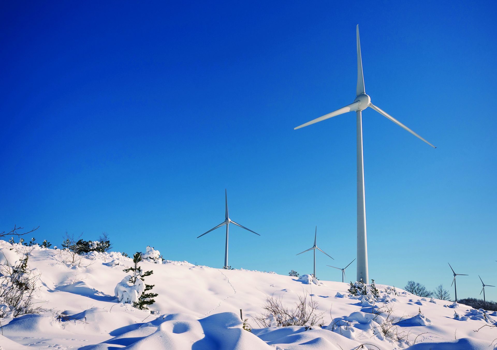 Wind climate. ВЭС В Арктике. Ветрогенератор зима. Фотообои ветряк. Крайний Север ветроэнергетика.