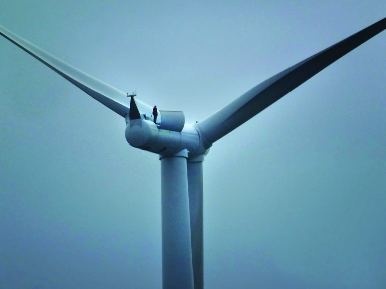 Extending the Lifetime of Wind Turbines