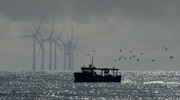 Cultivating wind resources in the Gulf of Mexico