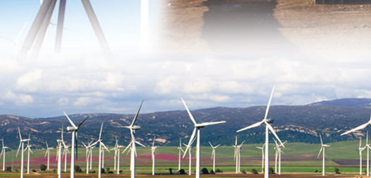 Company Profile: Wind Energy Services Co.